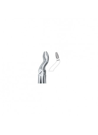 Tooth Ext Forceps